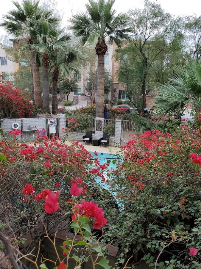 Desert Rose Villas - Private One Bedroom In Old Town Scottsdale Exterior foto